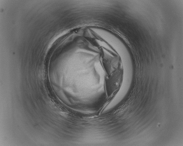 X0000076220724200610191532