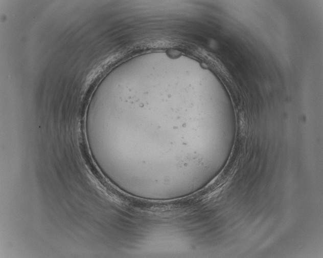 X0000076220725200610191532