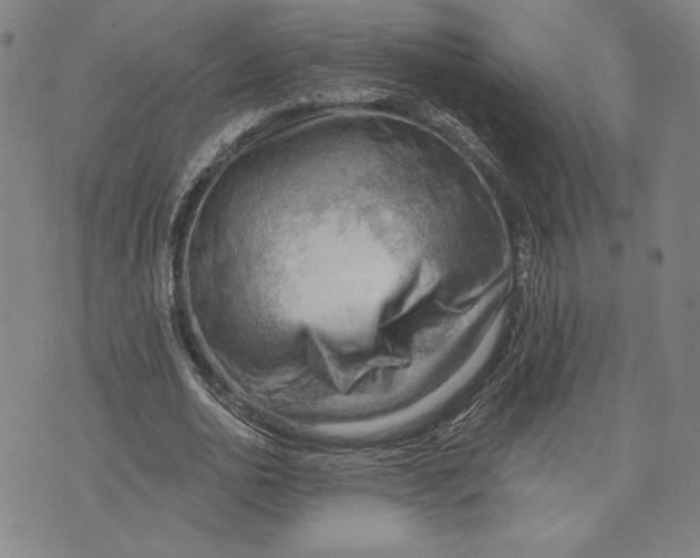 X0000076220726200610191532