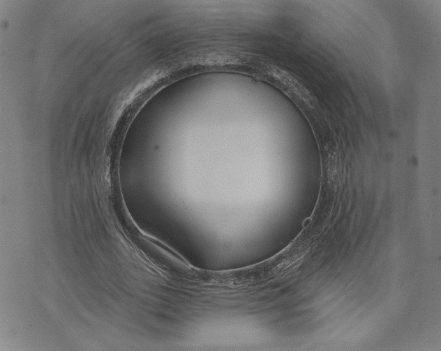 X0000076220727200610191532