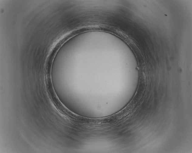 X0000076220728200610191532