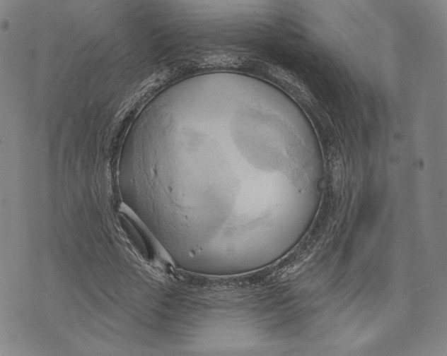 X0000076220729200610191532