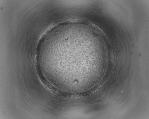 X0000076220730200610191532