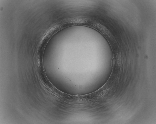 X0000076220731200610191532