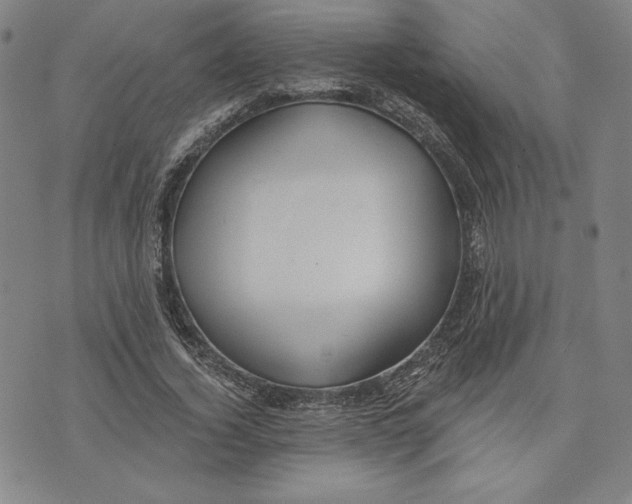 X0000076220732200610191532