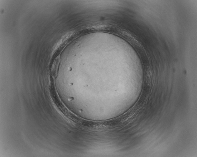 X0000076220734200610191532