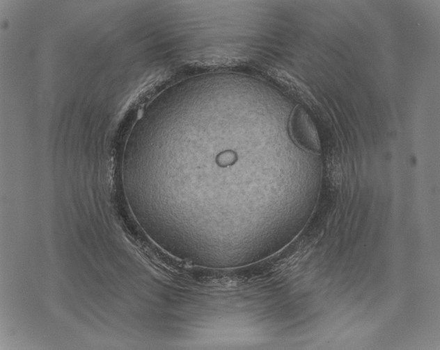 X0000076220735200610191532