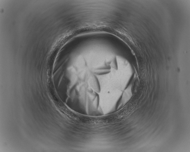 X0000076220736200610191532