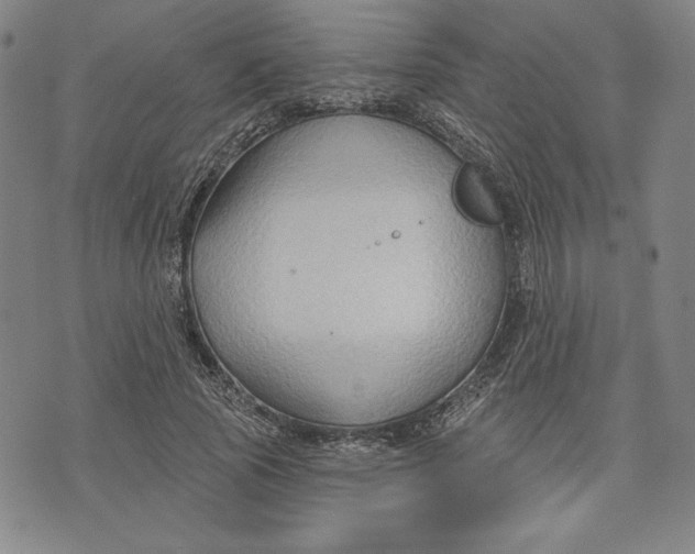 X0000076220737200610191532