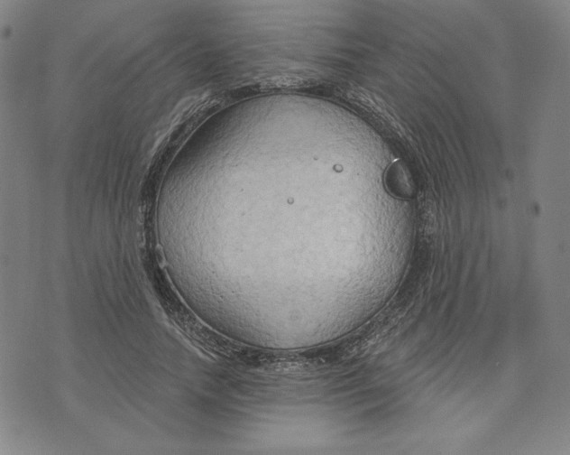 X0000076220738200610191532