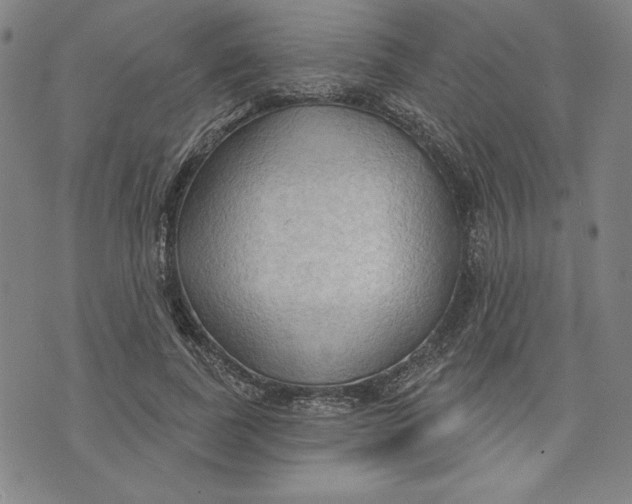 X0000076220739200610191532