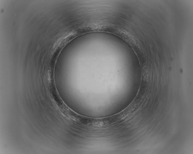 X0000076220740200610191532