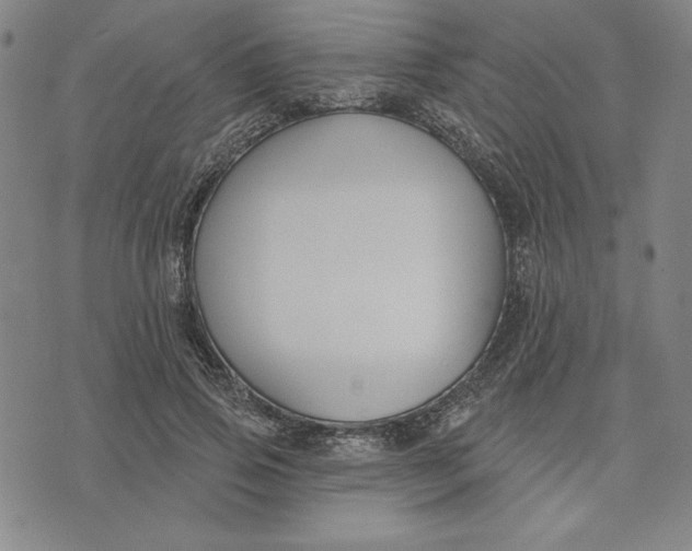 X0000076220741200610191532