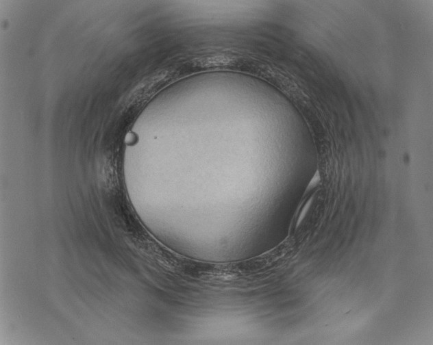 X0000076220743200610191532