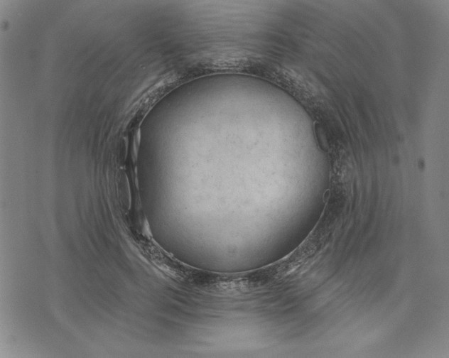 X0000076220744200610191532