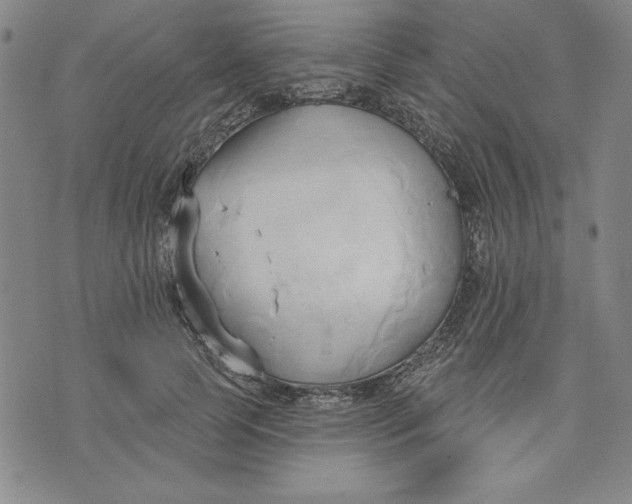 X0000076220745200610191532