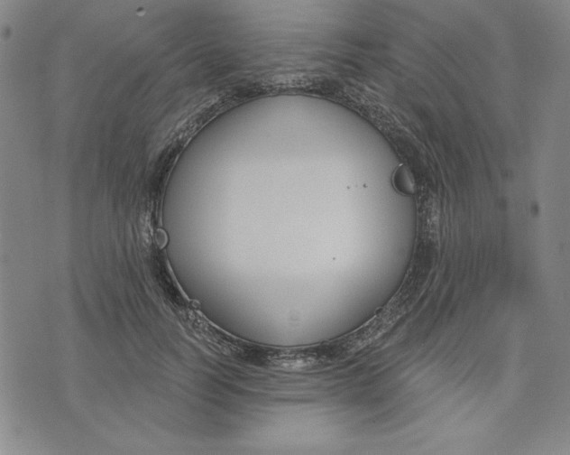 X0000076220746200610191532