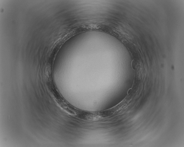 X0000076220747200610191532