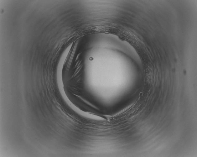 X0000076220748200610191532