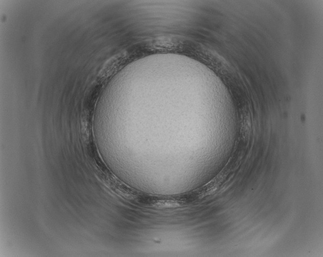 X0000076220749200610191532