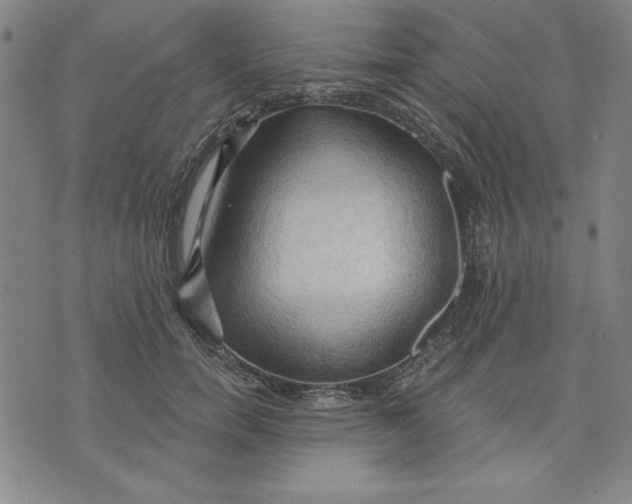 X0000076220750200610191532