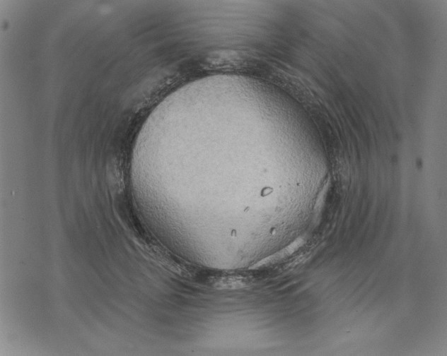 X0000076220751200610191532