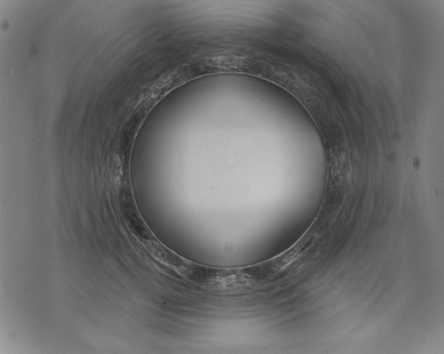 X0000076220752200610191532