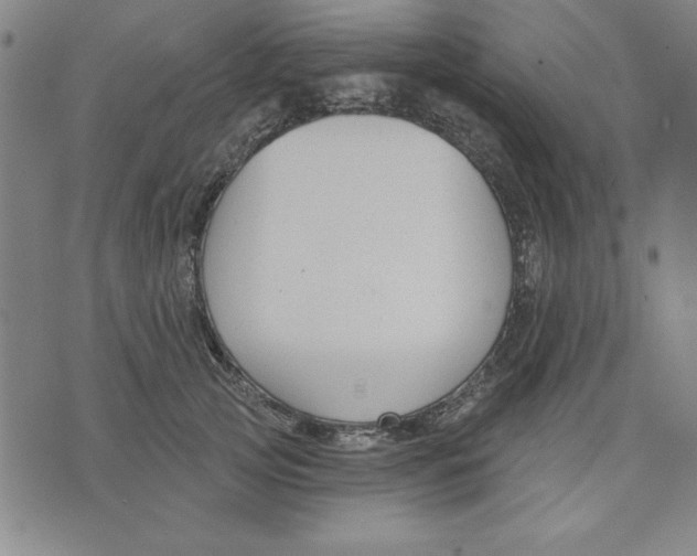 X0000076220753200610191532