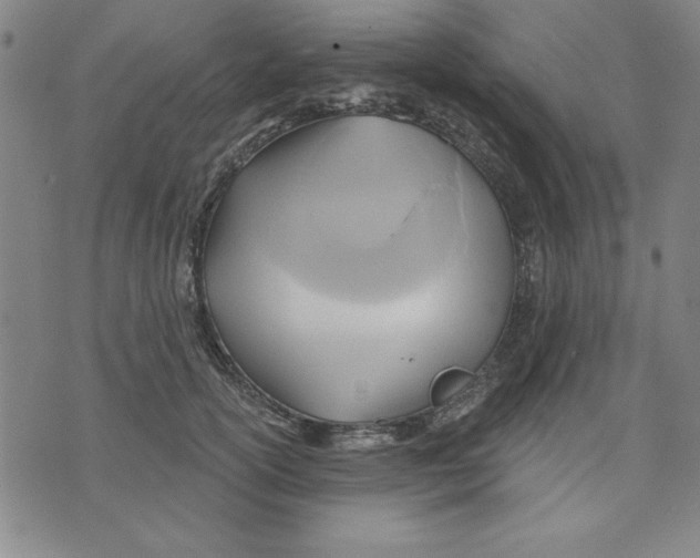 X0000076220754200610191532