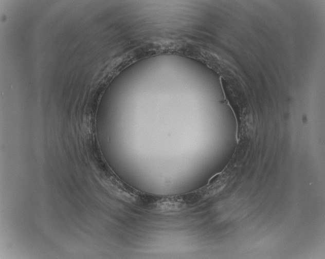 X0000076220756200610191532