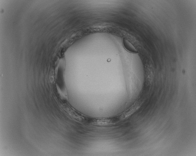 X0000076220758200610191532