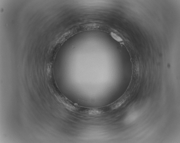 X0000076220759200610191532