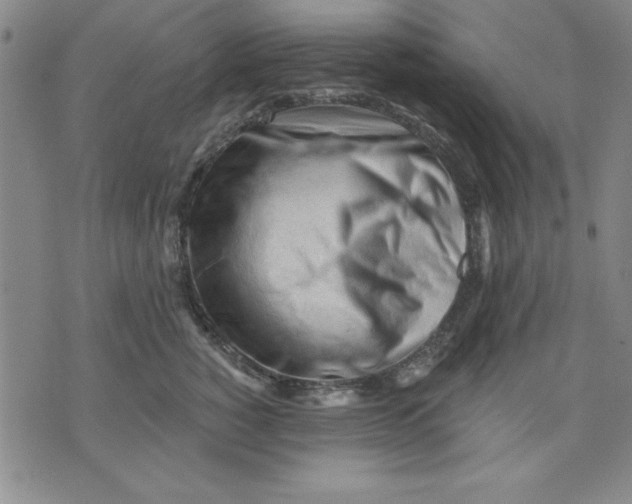 X0000076220760200610191532