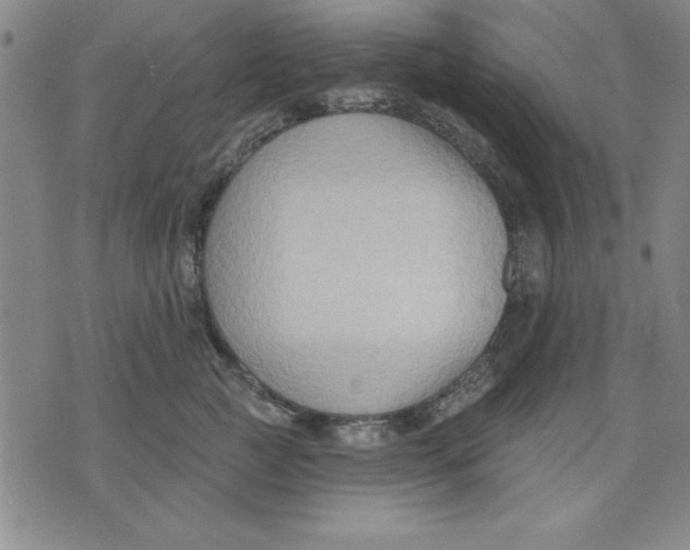 X0000076220761200610191532