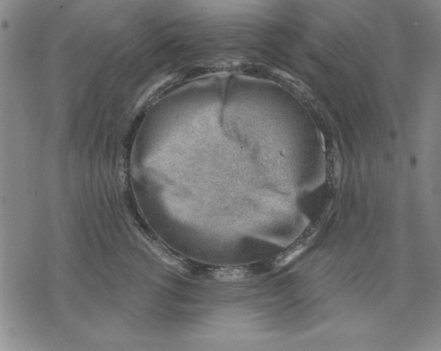 X0000076220762200610191532