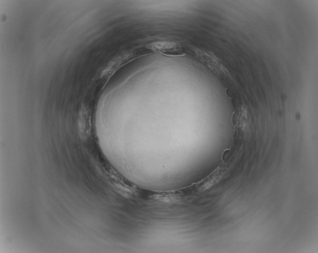 X0000076220763200610191532