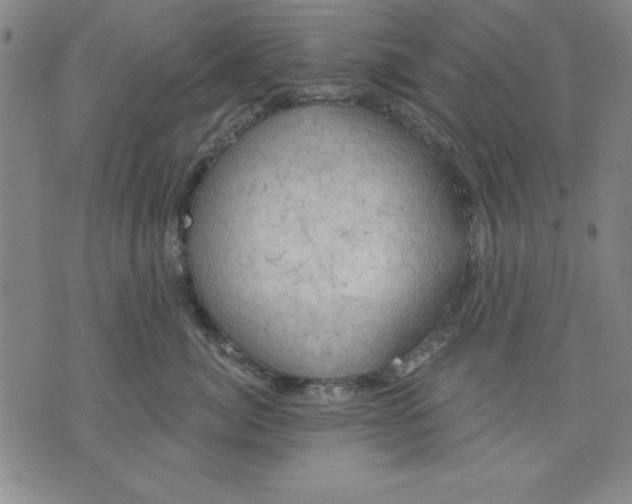 X0000076220764200610191532