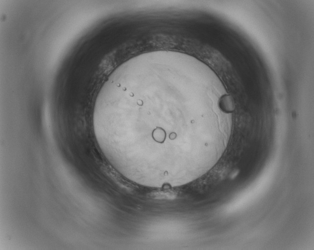 X0000076220765200610191532