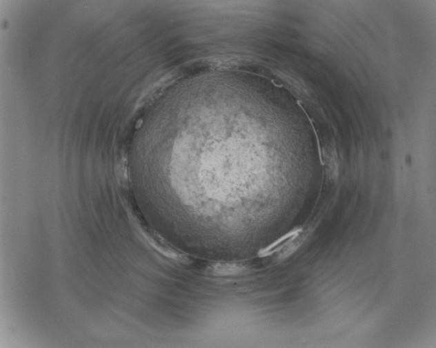 X0000076220766200610191533