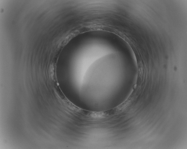 X0000076220767200610191533