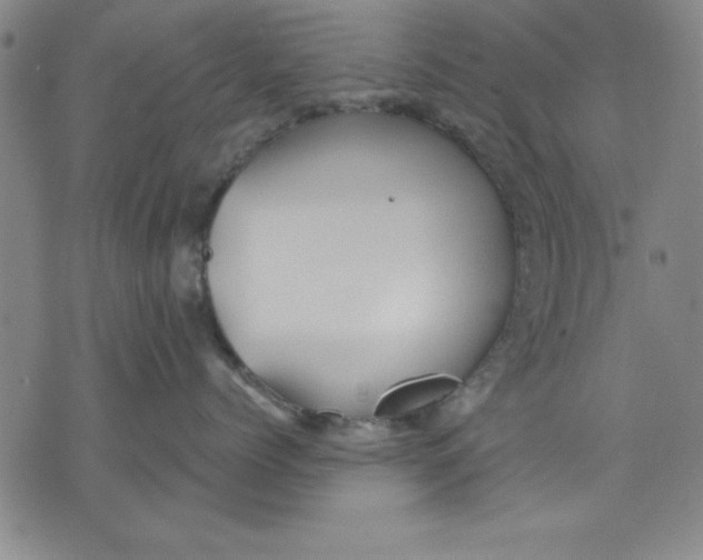 X0000076220768200610191533