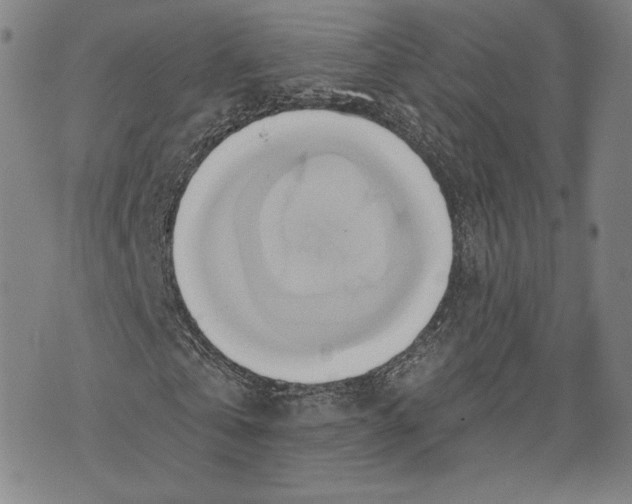 X0000076220769200610191532