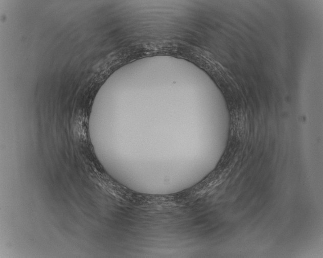 X0000076220770200610191532