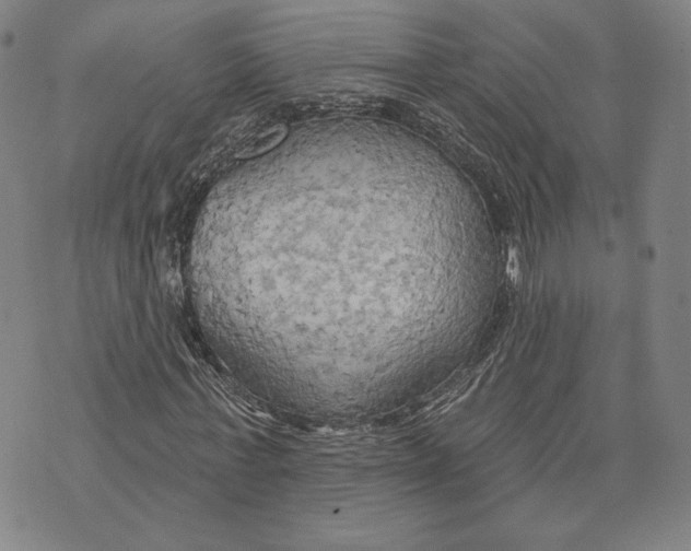 X0000076220771200610191532