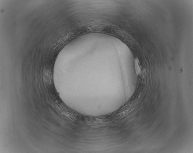 X0000076220772200610191532