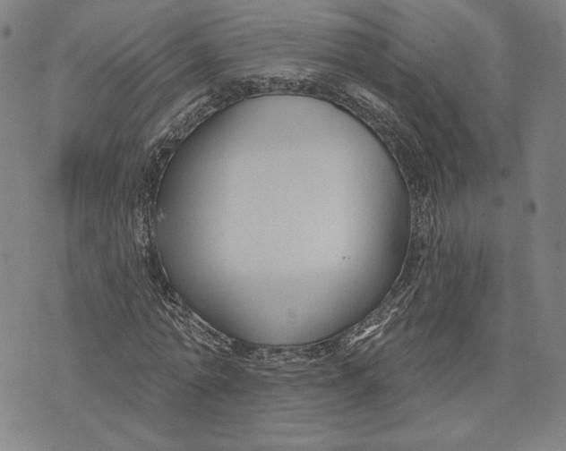 X0000076220774200610191532