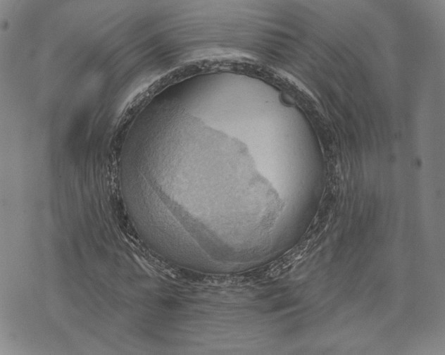 X0000076220775200610191532