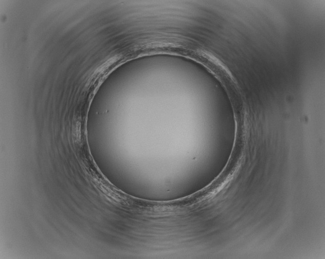 X0000076220777200610191532