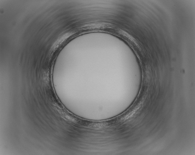 X0000076220778200610191532