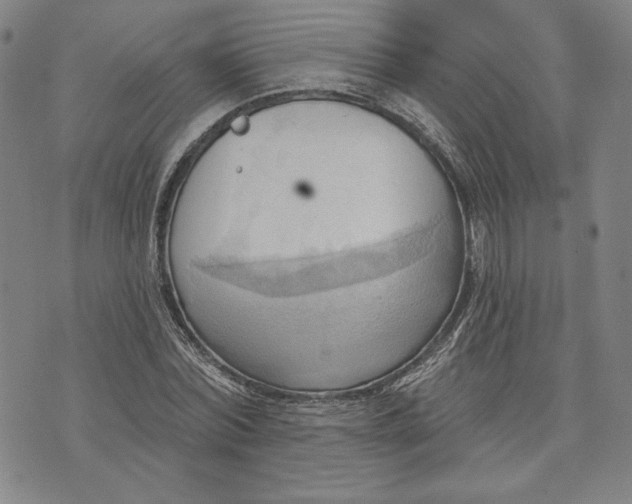 X0000076220780200610191532